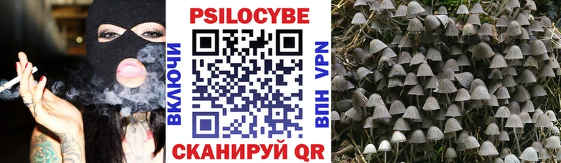 гидра вход  Великий Новгород  Галлюциногенные грибы GOLDEN TEACHER 